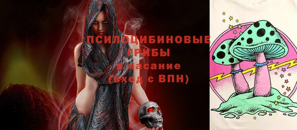 ECSTASY Алексин