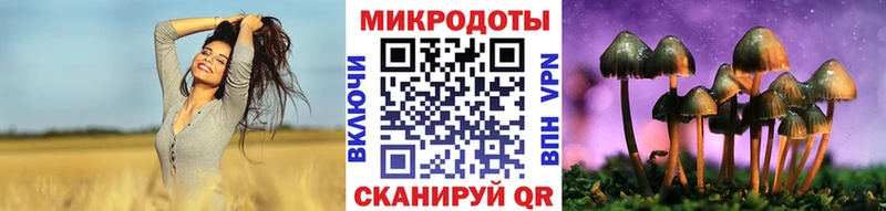 OMG tor  Зарайск  Псилоцибиновые грибы прущие грибы 